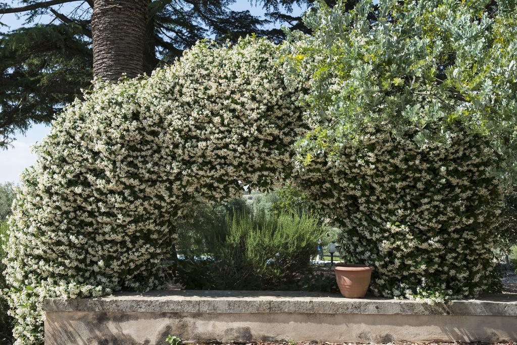 Canicattini Bagni Agriturismo Borgo Degli Ulivi المظهر الخارجي الصورة
